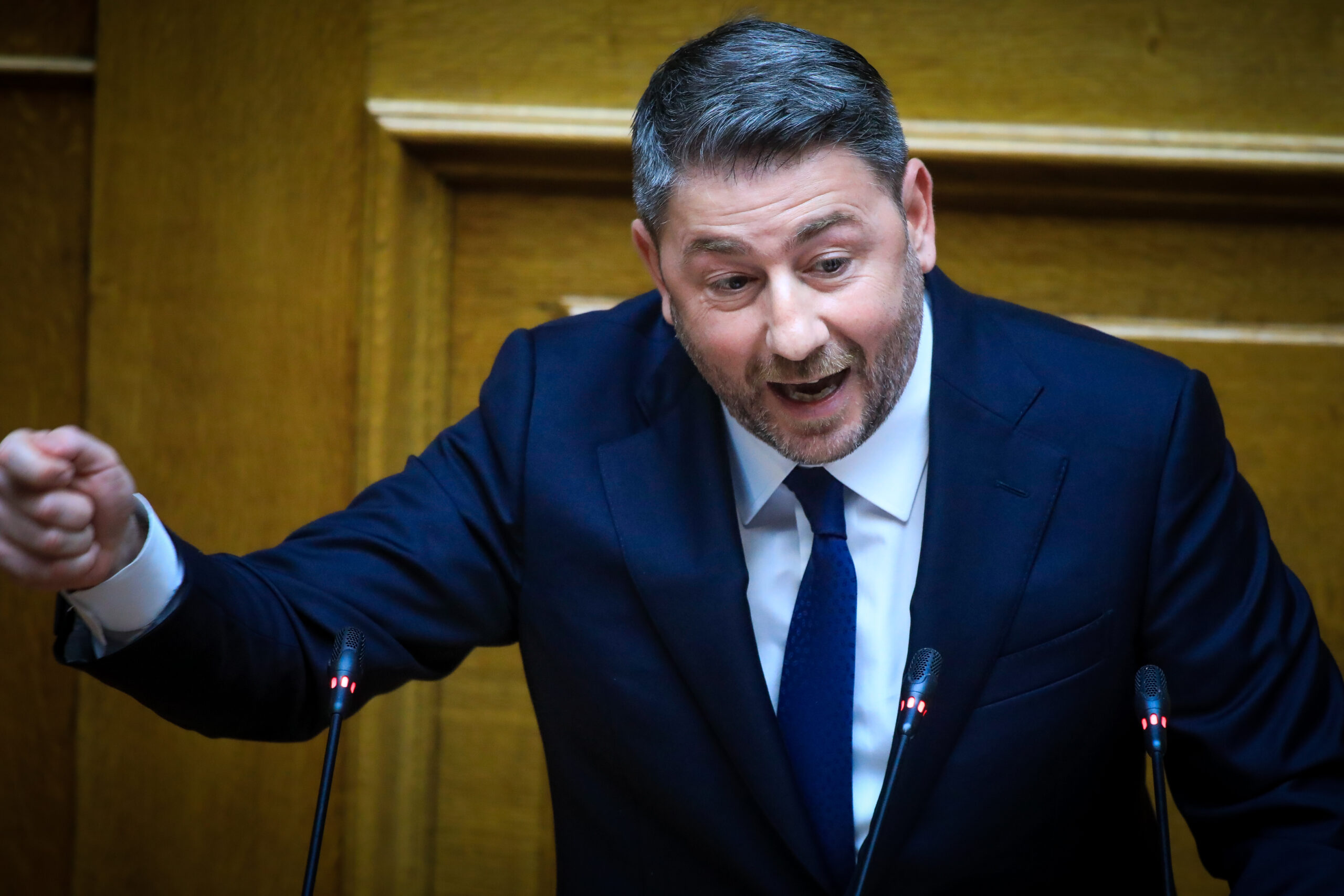 Νίκος Ανδρουλάκης