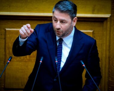 Ο Νίκος Ανδρουλάκης στη Βουλή