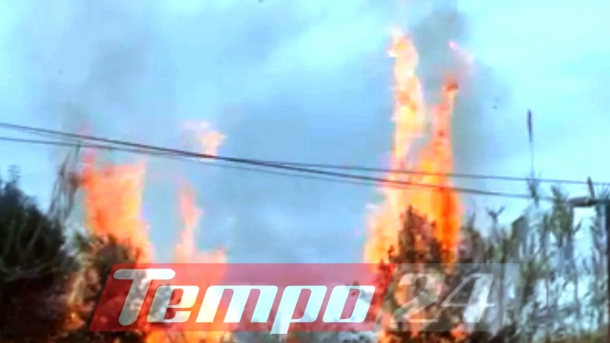 Φωτιά στο Μπεγουλάκι Πάτρας