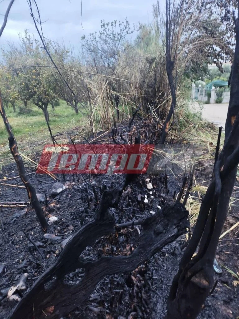 Φωτιά στο Μπεγουλάκι Πάτρας