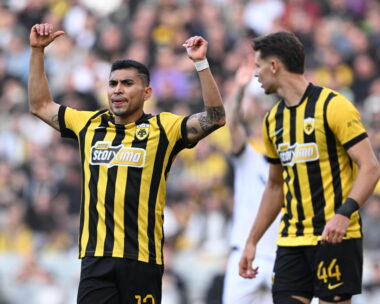 Ο Πινέδα και ο Ρέλβας