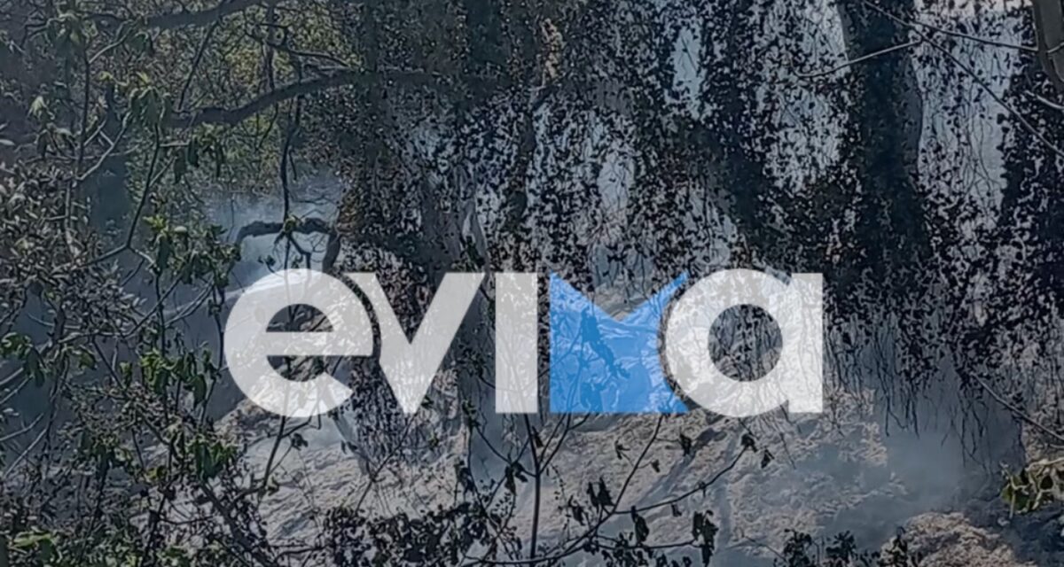 Εύβοια: Σύλληψη και πρόστιμο σε 56χρονο, για φωτιά από αμέλεια στην περιοχή Πλατάνα