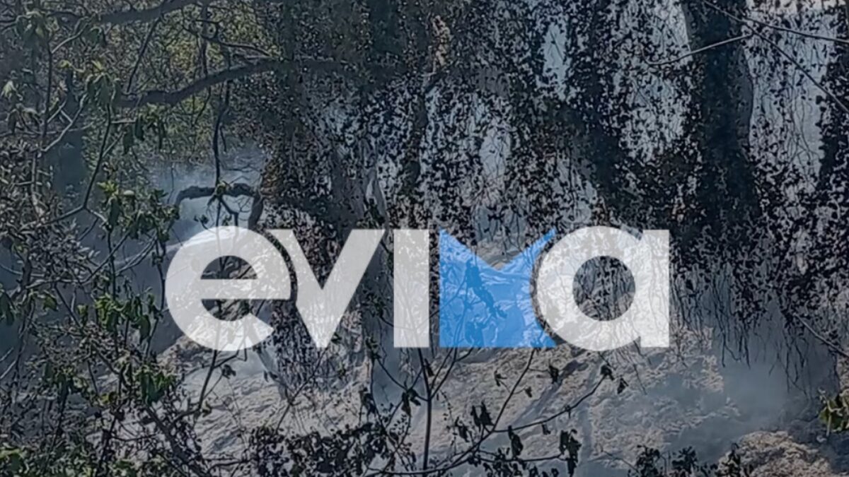 Σύλληψη και πρόστιμο σε 56χρονο, για φωτιά από αμέλεια στην περιοχή Πλατάνα