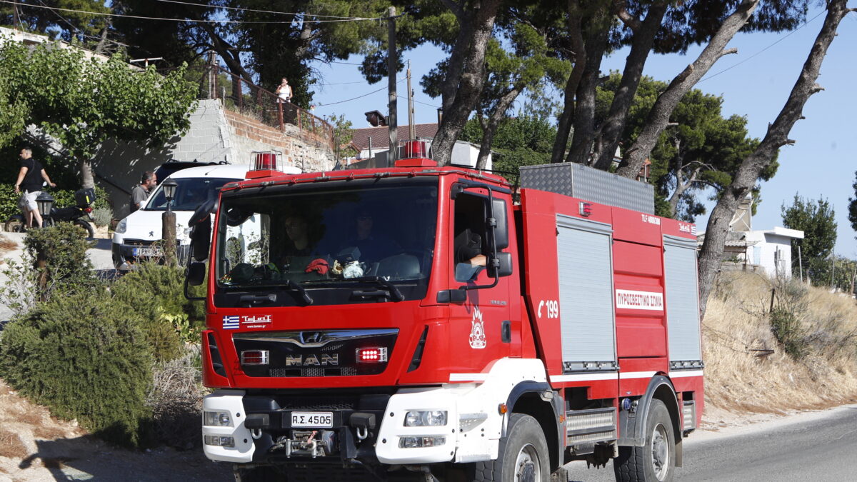 ΦΩΤΟΓΡΑΦΙΑ ΑΡΧΕΙΟΥ ΣΩΤΗΡΗΣ ΔΗΜΗΤΡΟΠΟΥΛΟΣ