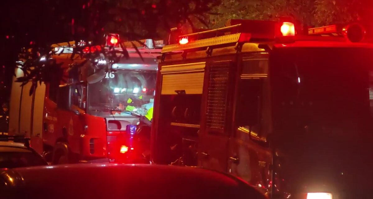 Καλλιθέα: Πυροσβέστες έσωσαν ηλικιωμένη και τα τέσσερα σκυλιά της από φωτιά