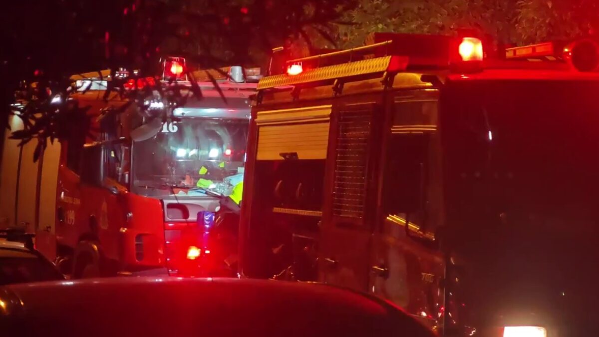 Πυροσβέστες έσωσαν ηλικιωμένη και τα τέσσερα σκυλιά της από φωτιά στην Καλλιθέα