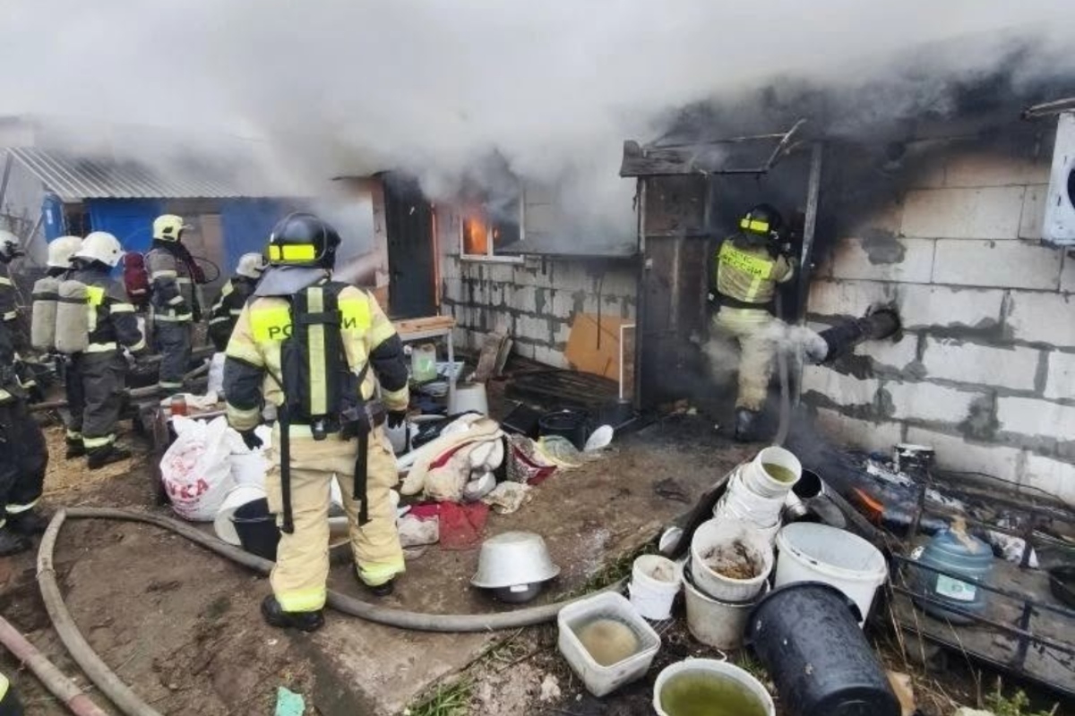 Ρωσία: Φωτιά σε εκτροφείο σκύλων σκότωσε 200 τσιουάουα