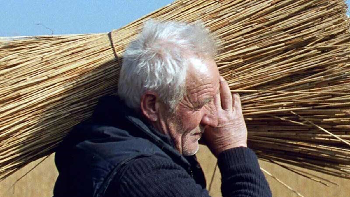 Εικόνα από την ταινία «Ανάμεσα στις Καλαμιές»