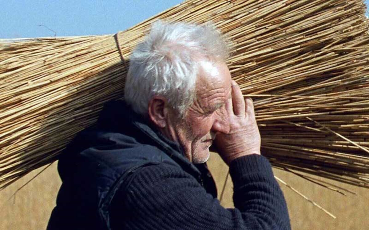 «Ανάμεσα στις Καλαμιές», «Gorgona», «The Super Mario Galaxy Movie» και άλλες 5 ταινίες από σήμερα στους κινηματογράφους