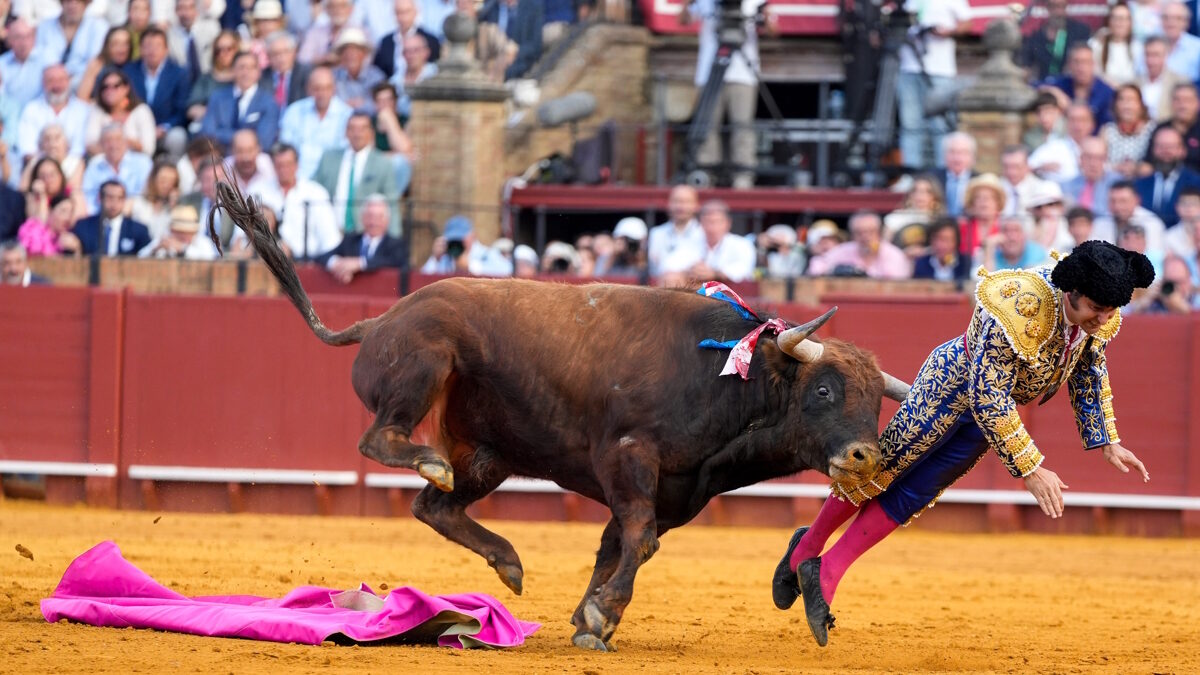 ταυρομάχος