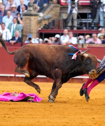 ταυρομάχος