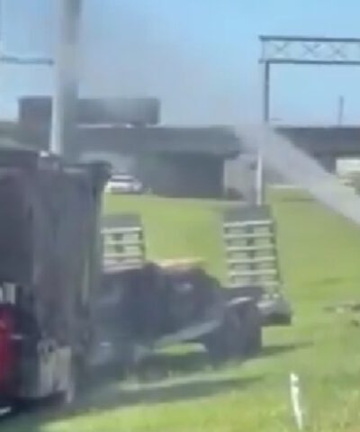 Ανατράπηκε φορτηγό στο Τενεσί και «δραπέτευσε» 1 εκατομμύριο μέλισσες