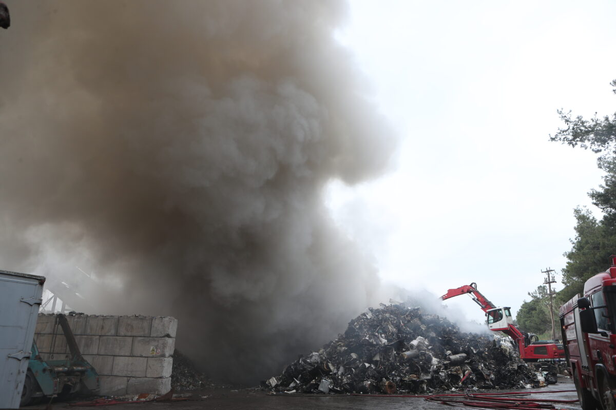 ΒΑΣΙΛΗΣ ΒΕΡΒΕΡΙΔΗΣ