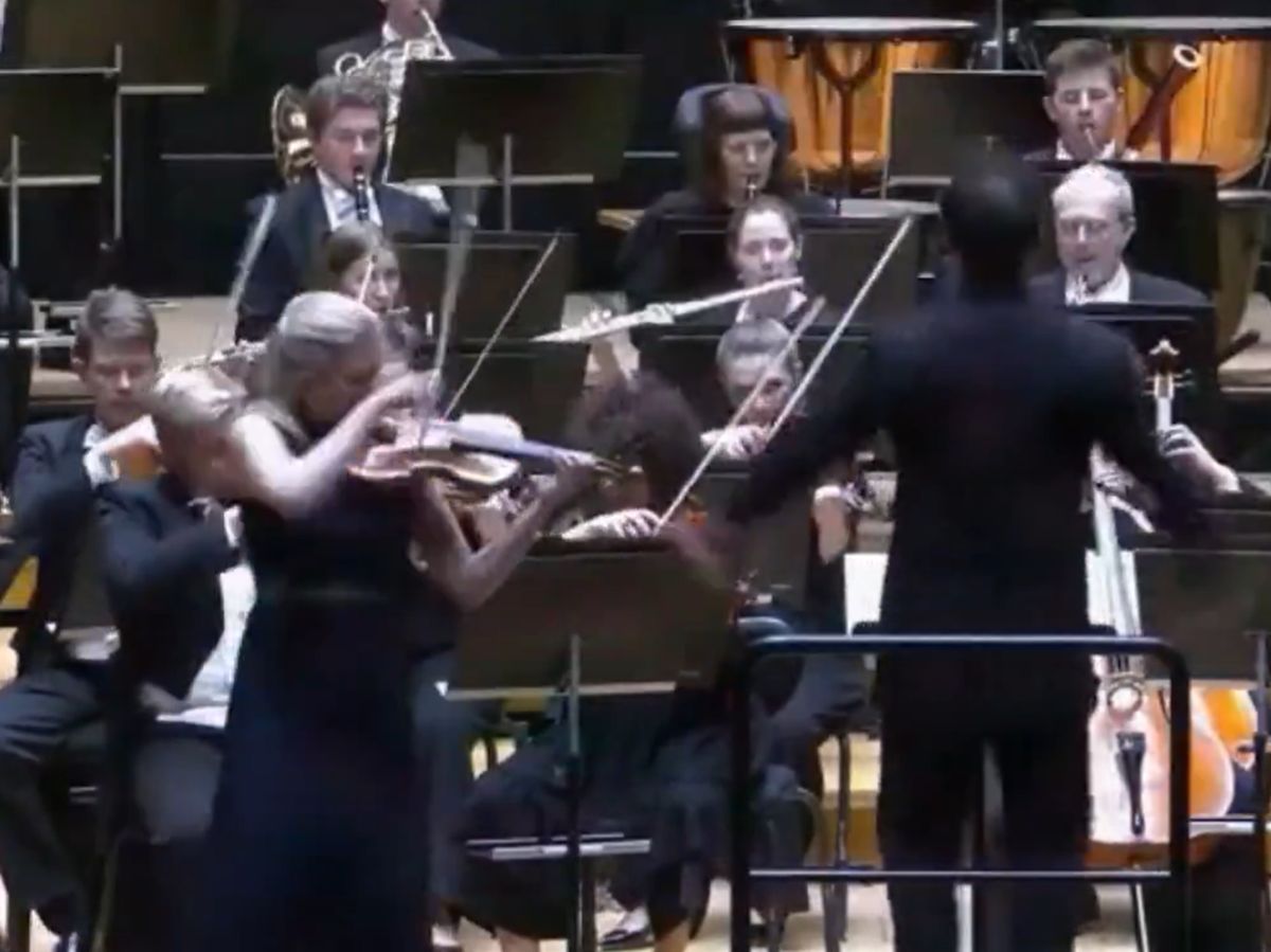 Μαέστρος έριξε κατά λάθος βιολί του 18ου αιώνα αξίας 1 εκατ. δολαρίων σε συναυλία