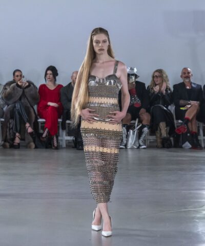 Η τρανς κόρη του Έλον Μασκ, Βίβιαν Γουίλσον