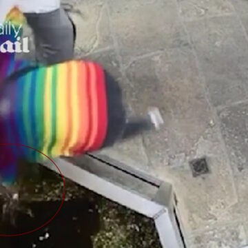 βρετανία αστακός