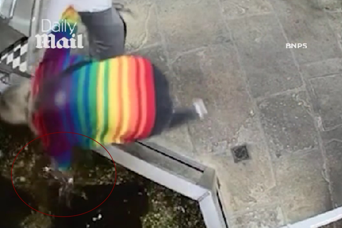 βρετανία αστακός