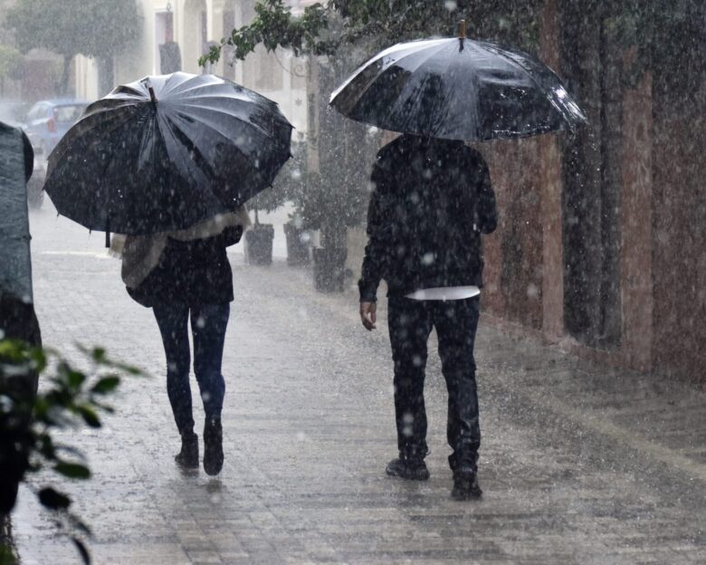 ΦΩΤΟΓΡΑΦΙΑ ΑΡΧΕΙΟΥ EUROKINISSI - ΒΑΣΙΛΗΣ ΠΑΠΑΔΟΠΟΥΛΟΣ