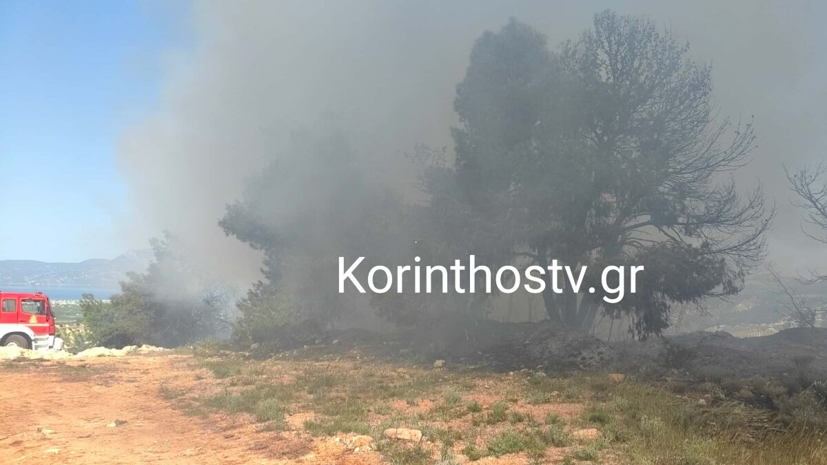 Φωτιά στο Ζευγολατιό