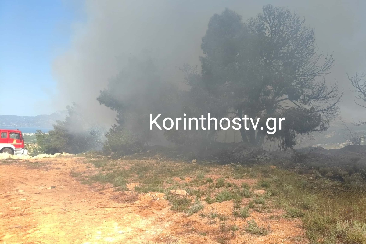 Κορινθία: Φωτιά σε πευκοδάσος στο Ζευγολατιό - Μεγάλη κινητοποίηση της Πυροσβεστικής