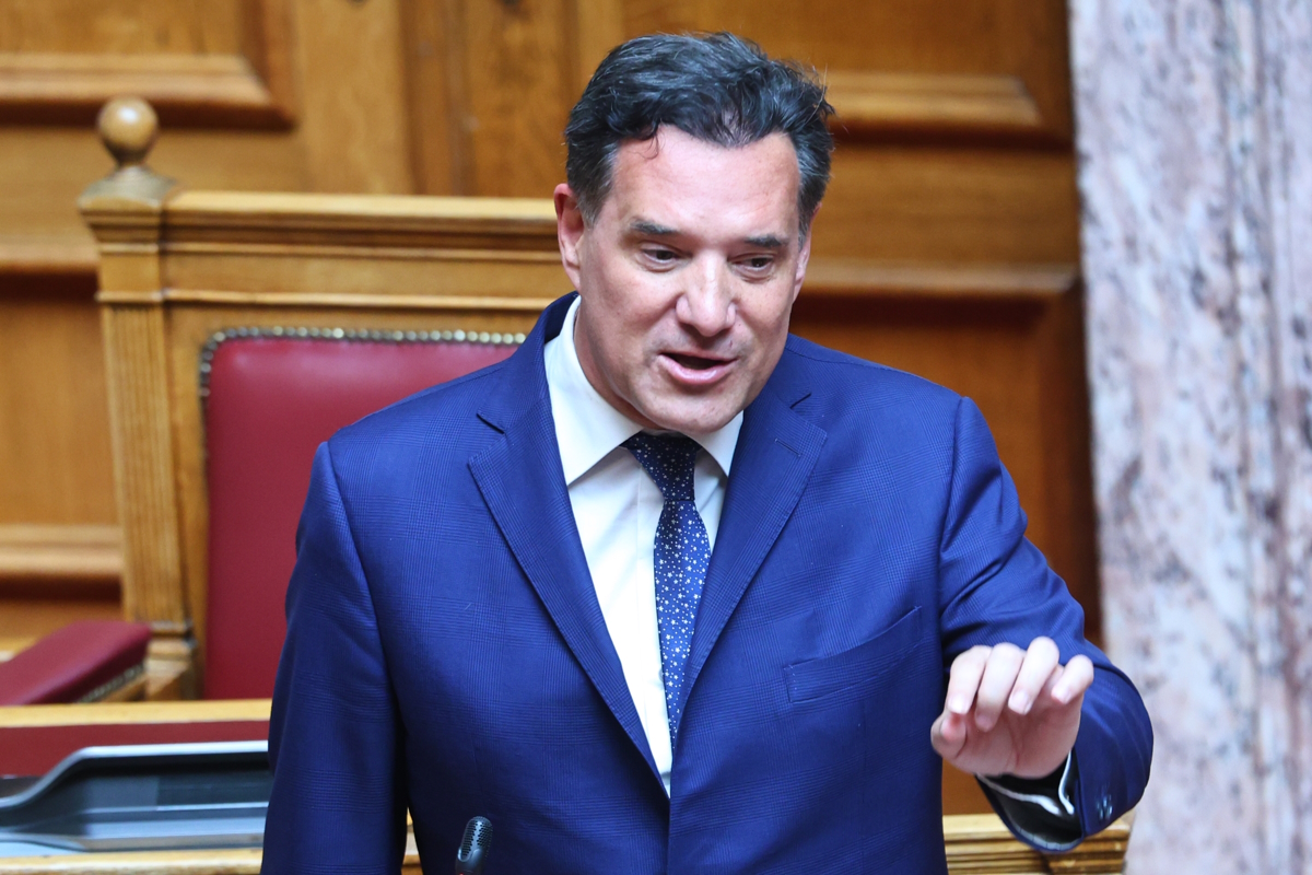 Αδωνις Γεωργιάδης: Η Μαρία Καρυστιανού είναι στη «δεξαμενή» αυτών που θέλουν το μπάχαλο