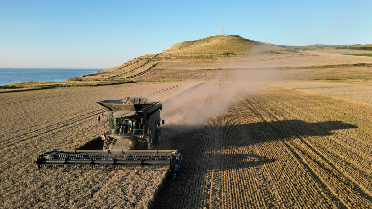 FILE PHOTO: A farmer harvests his field of wheat in Escalles, near Calais, France, August 9, 2023. REUTERS/Pascal Rossignol/File Photo
