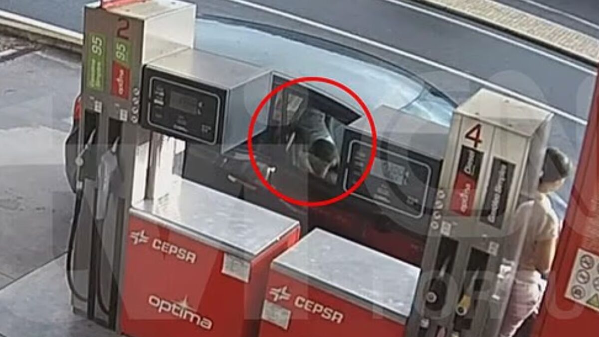 Τα αγοράκια παίζουν στο πίσω μέρος αυτοκινήτου