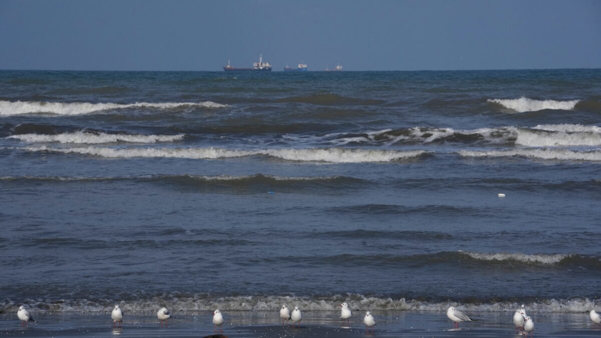 Seagulls sit on the southern coast of the Caspian Sea in the port city of Bandar Anzali, Iran, Sunday, Dec. 21, 2025