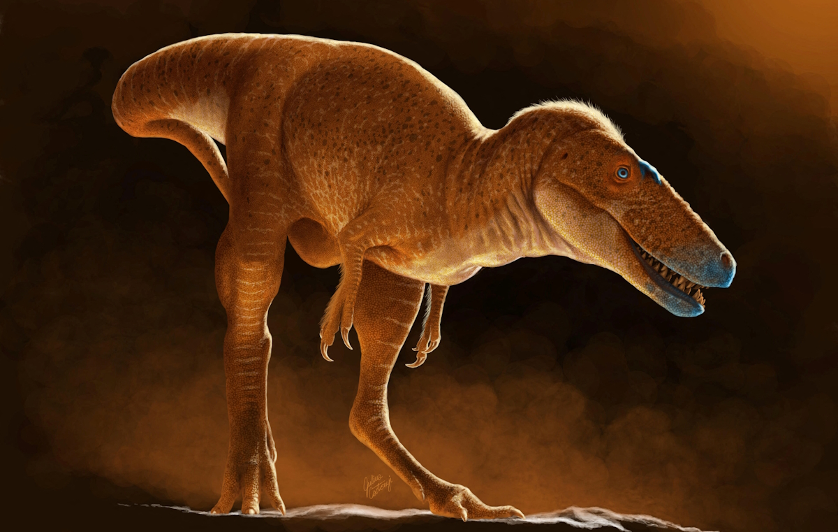 Δεινόσαυρος Khankhuuluu mongoliensis