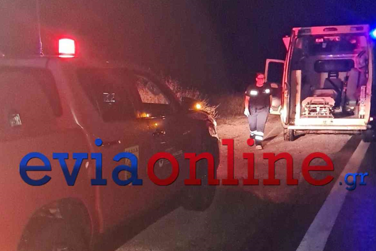 Τροχαίο στην Εύβοια: Αυτοκίνητο έπεσε σε χαράδρα 80 μέτρων, σώθηκε ο οδηγός | Επικαιρότητα στο PlusTV.gr