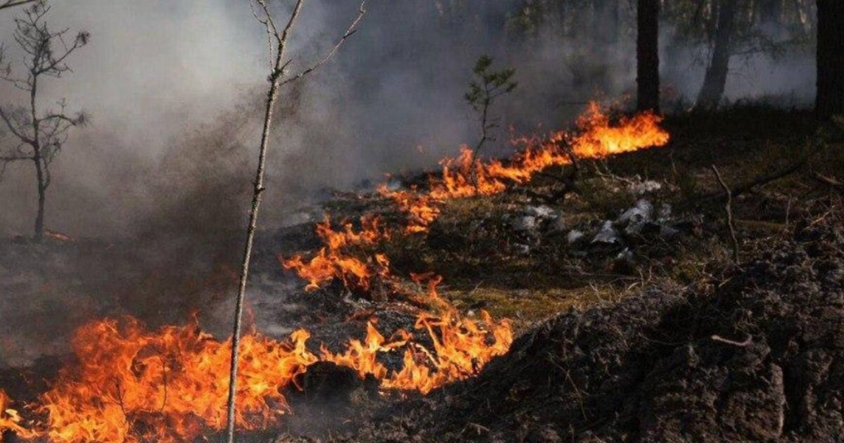 Τσερνόμπιλ: Μεγάλη φωτιά στην απαγορευμένη ζώνη μετά από πτώση drone
