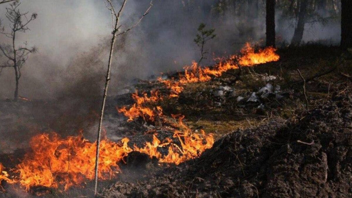 Μεγάλη δασική πυρκαγιά στην απαγορευμένη ζώνη του Τσερνόμπιλ μετά την πτώση drone