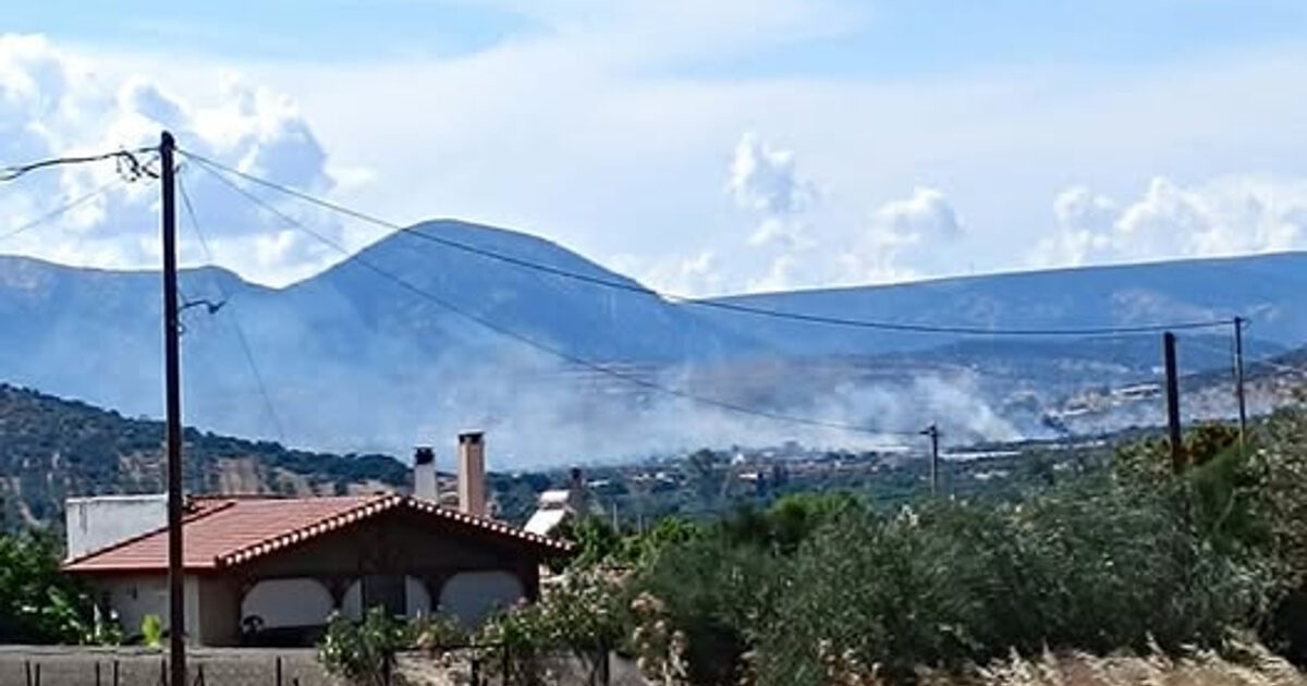 Φωτιά στα Καλύβια σε χαμηλή βλάστηση: Μεγάλη κινητοποίηση της Πυροσβεστικής