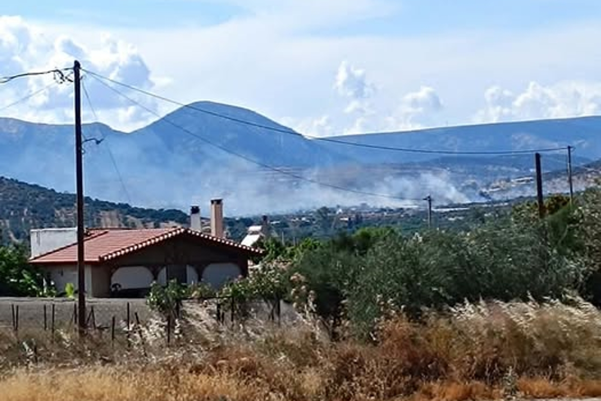 Φωτιά στα Καλύβια σε χαμηλή βλάστηση: Μεγάλη κινητοποίηση της Πυροσβεστικής