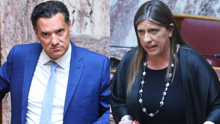 Άδωνις Γεωργιάδης και Ζωή Κωνσταντοπούλου