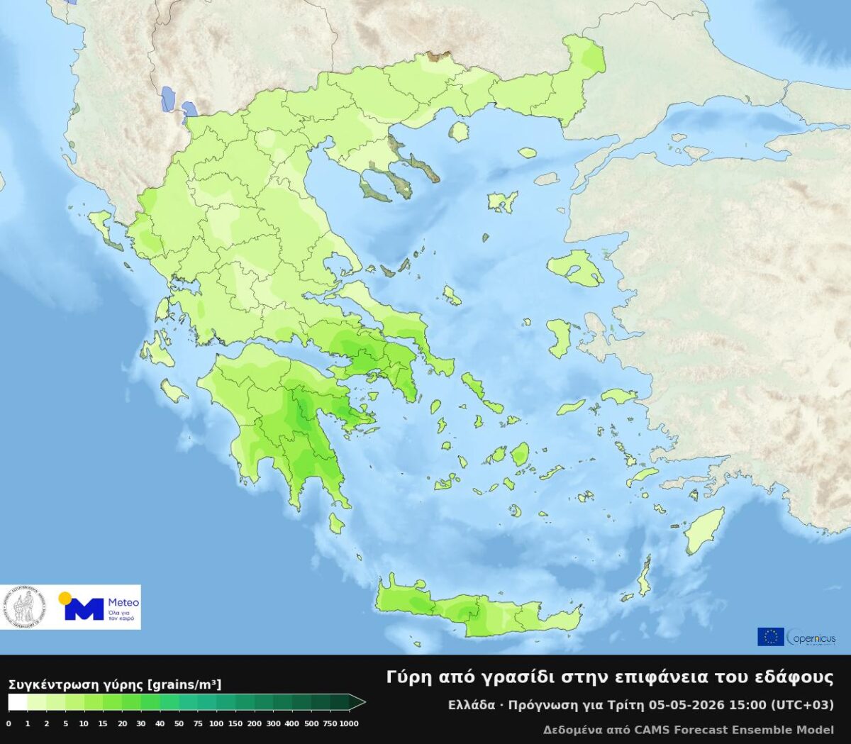 gyri grasidi