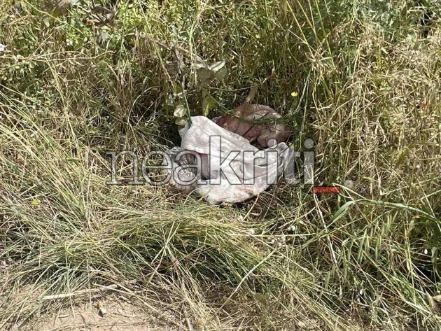 Σε αυτό το σημείο βρέθηκε η 28χρονη