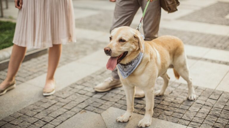 Πηγή φωτό: iStock