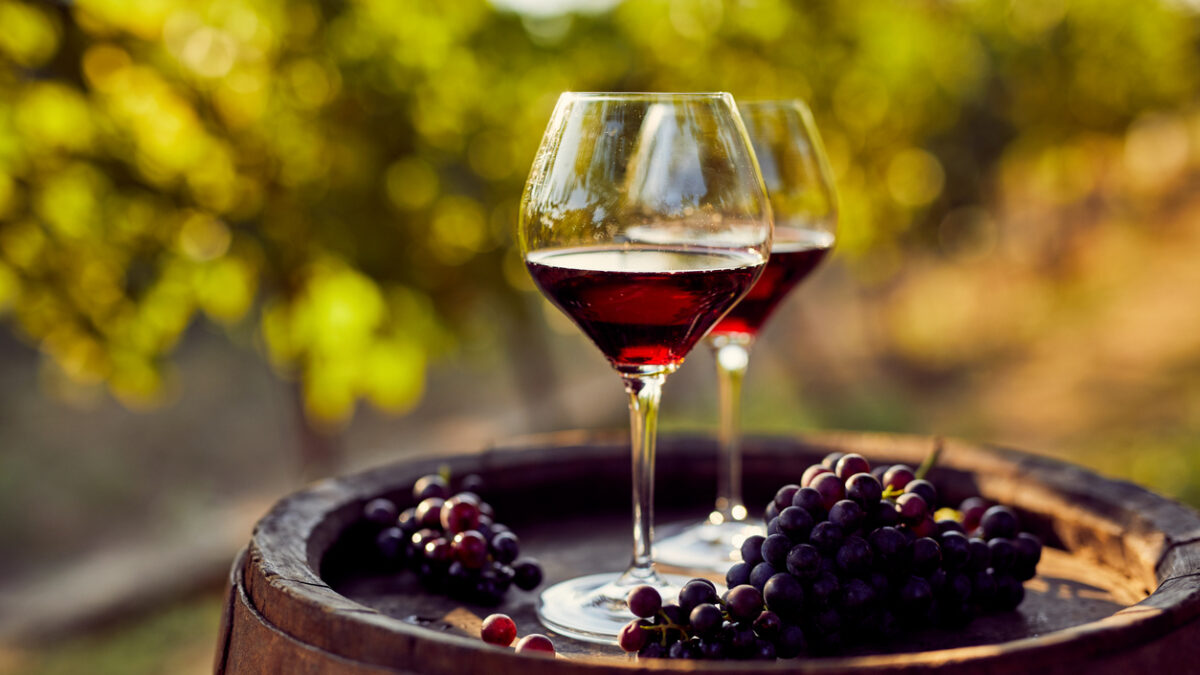 Two glasses of red wine on a wooden barrel in the vineyard