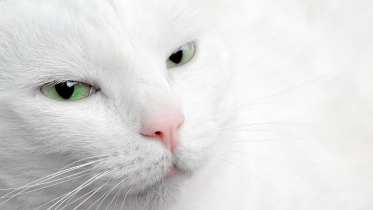 Πηγή φωτό: iStock