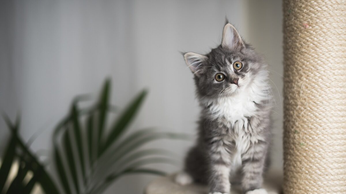 Πηγή φωτό: iStock