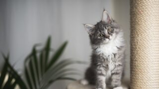 Πηγή φωτό: iStock
