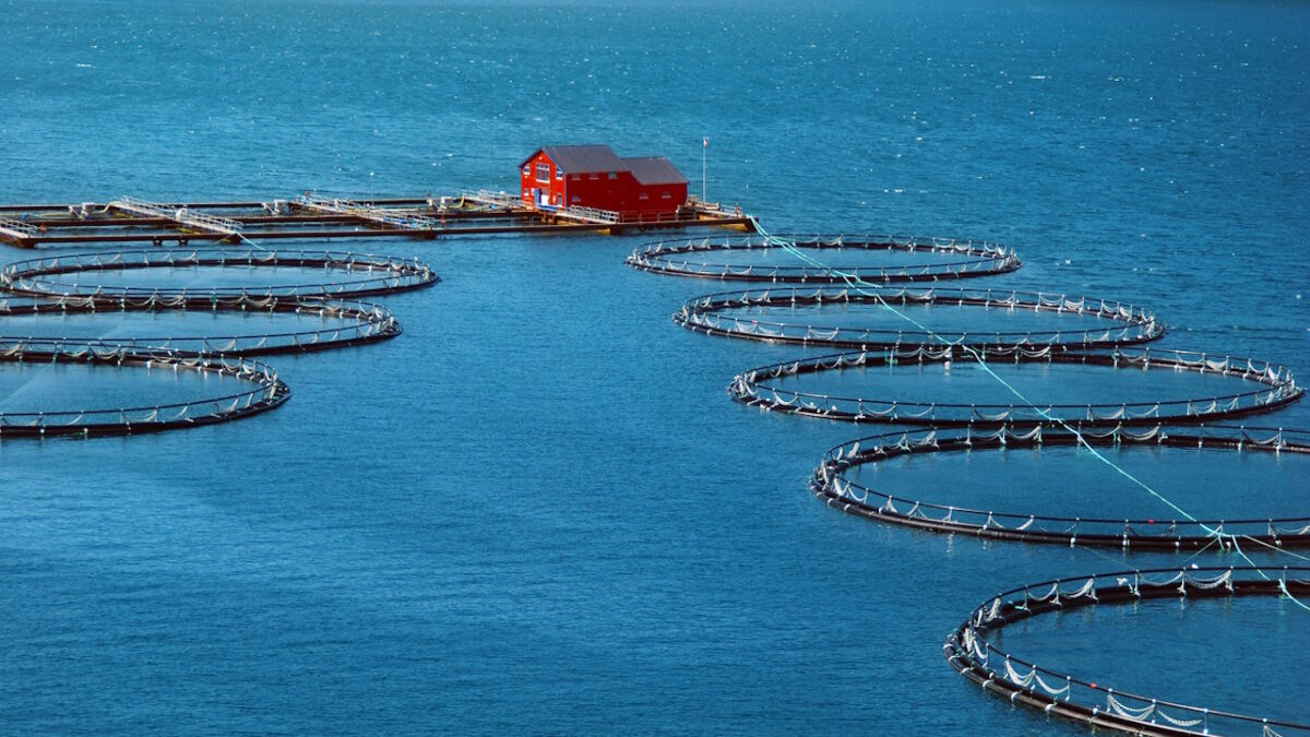 Fishing industry in a fjord in southern Norway