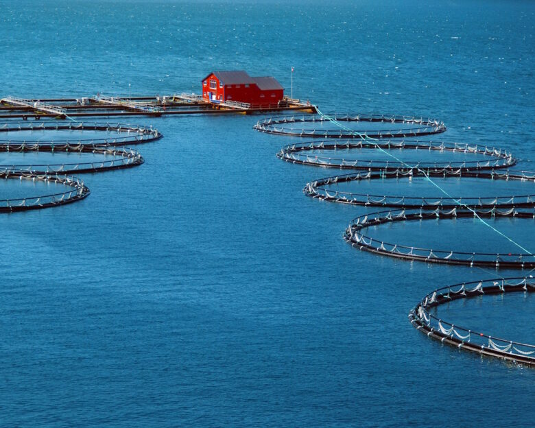 Fishing industry in a fjord in southern Norway