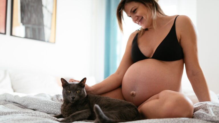 Πηγή φωτό: iStock