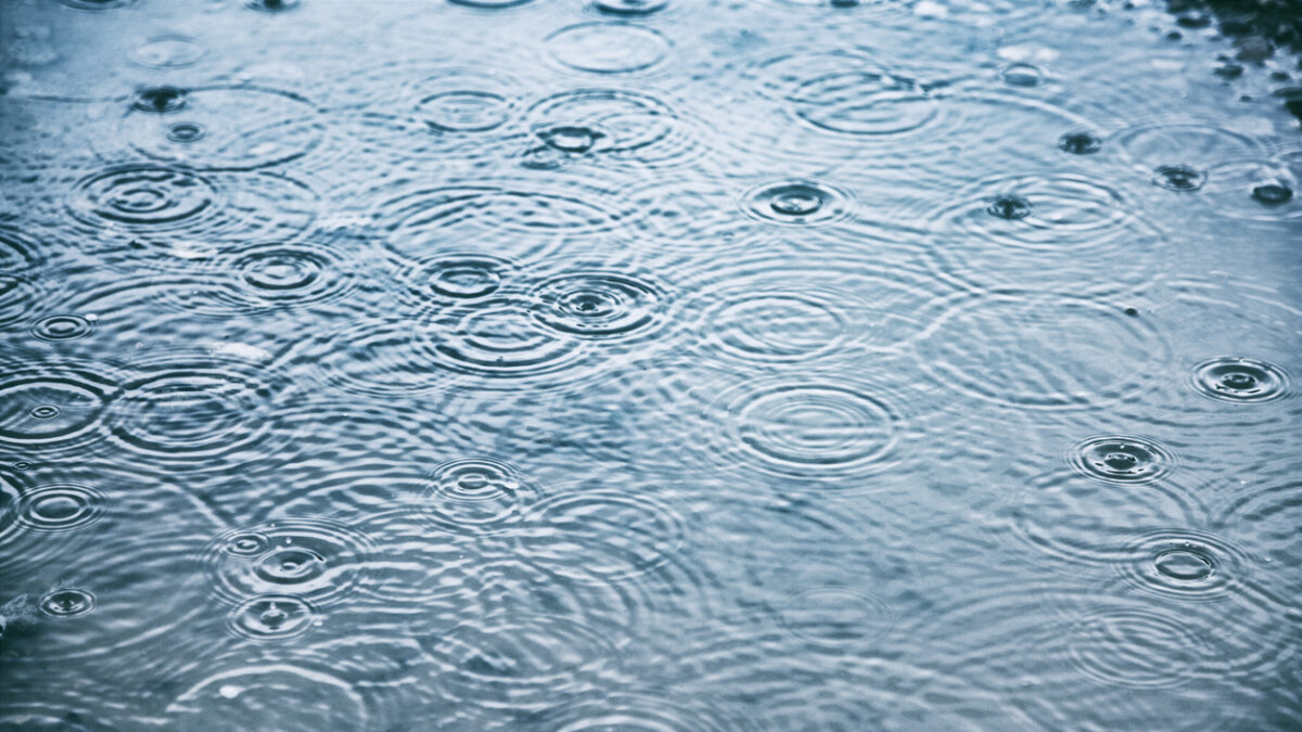 Rain drops on water
