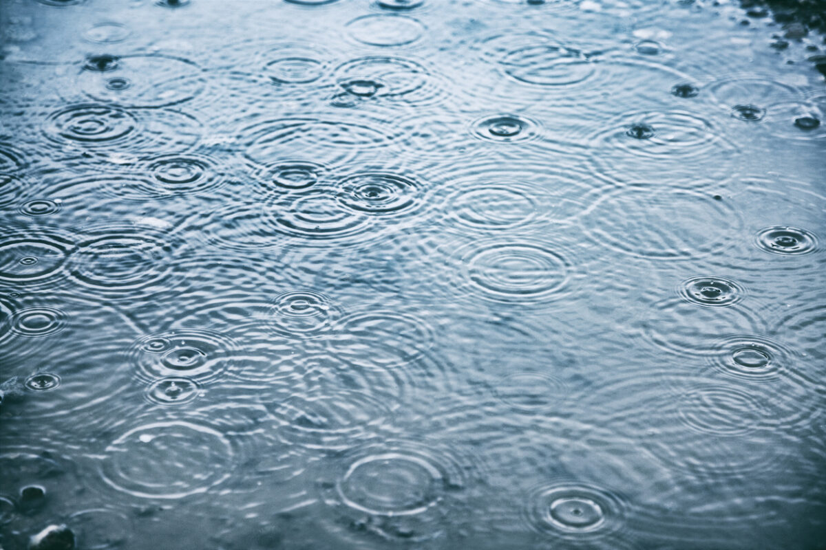 Rain drops on water