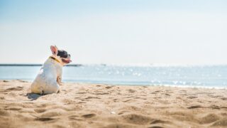 Πηγή φωτό: iStock