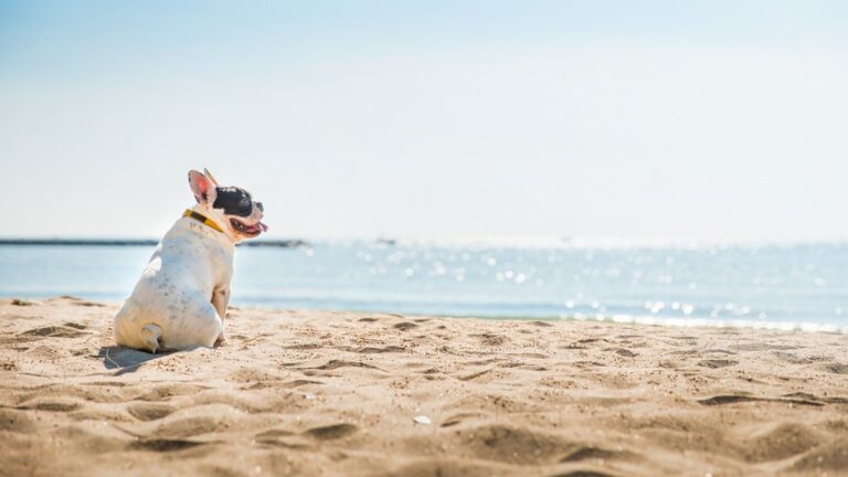 Πηγή φωτό: iStock