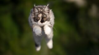 Πηγή φωτό: iStock